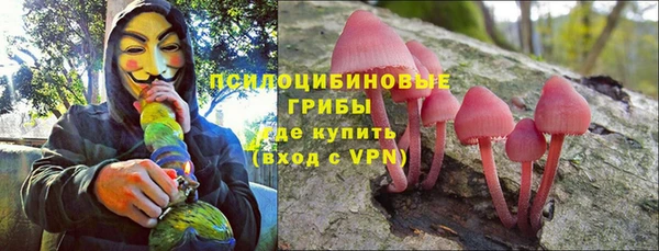 стафф Володарск