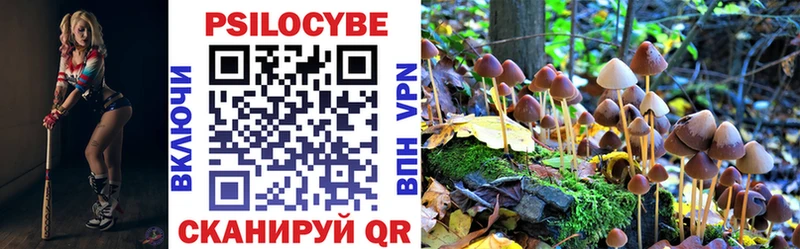 Купить закладки  Магас  Псилоцибиновые грибы MAGIC MUSHROOMS 
